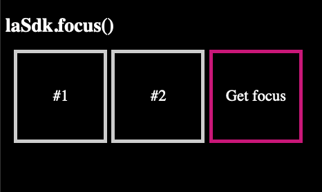 lasdk-focus example